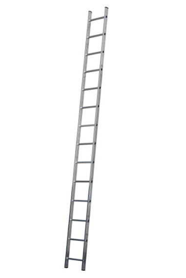 AL255